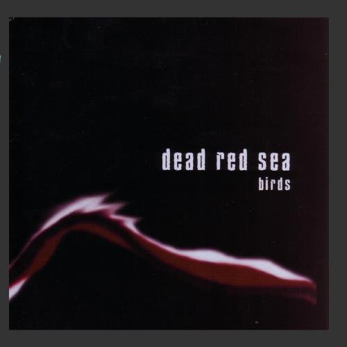 DEAD RED SEA/BIRDS