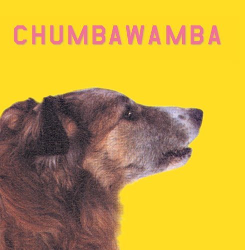 Chumbawamba/What You See Is What You Get