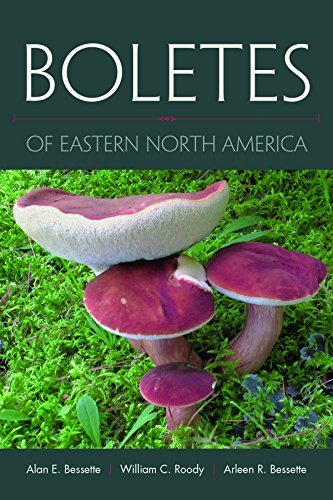 Alan Bessette Boletes Of Eastern North America 