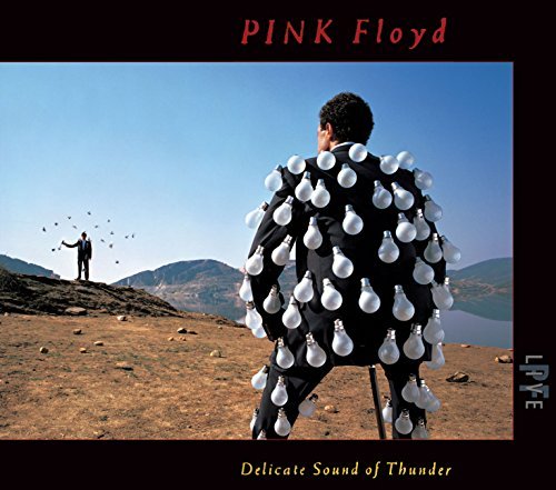 Pink Floyd/Delicate Sound Of Thunder (Live)@2cd