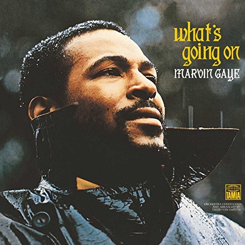 Marvin Gaye/Whats Going On (Lp)