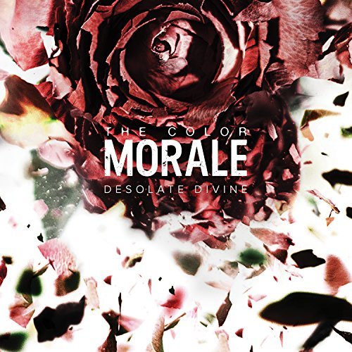 COLOR MORALE/DESOLATE DIVINE