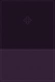 Zondervan Amplified Study Bible Imitation Leather Purple 