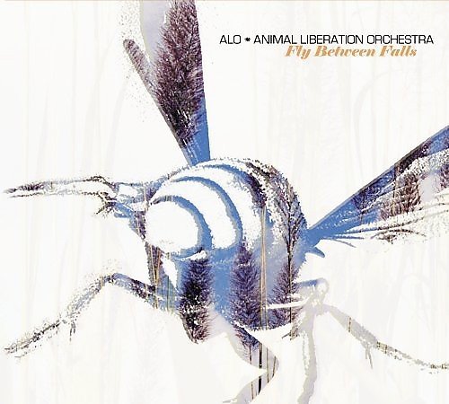 Animal Liberation Orchestra/Fly Between Falls@Import-Eu