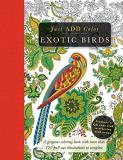 Beverly Lawson Exotic Birds Gorgeous Coloring Books With More Than 120 Pull O 