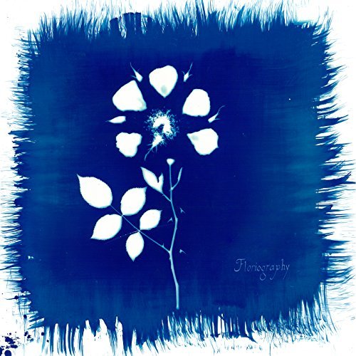 Painted Zeros/Floriography