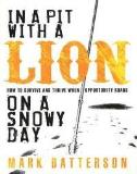 Mark Batterson In A Pit With A Lion On A Snowy Day 