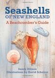 J. Duane Sept Seashells Of New England A Beachcomber's Guide 