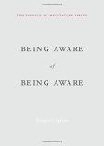 Rupert Spira Being Aware Of Being Aware 