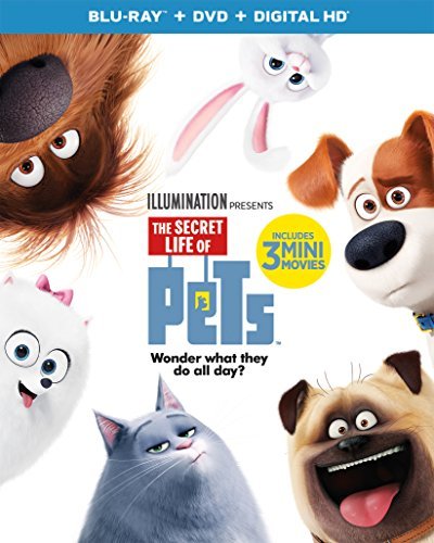 Secret Life Of Pets/Secret Life Of Pets@Blu-ray/Dvd/Dc@Pg