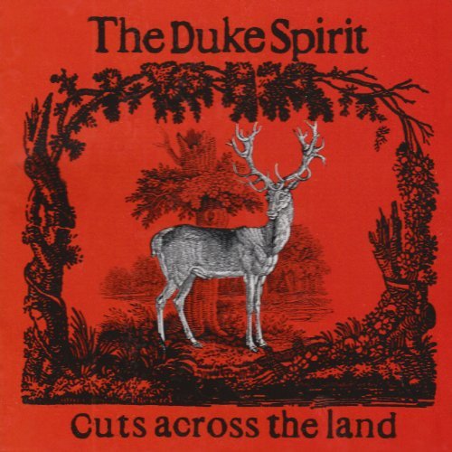 DUKE SPIRIT/CUTS ACROSS THE LAND