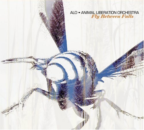 Alo/Fly Between Falls