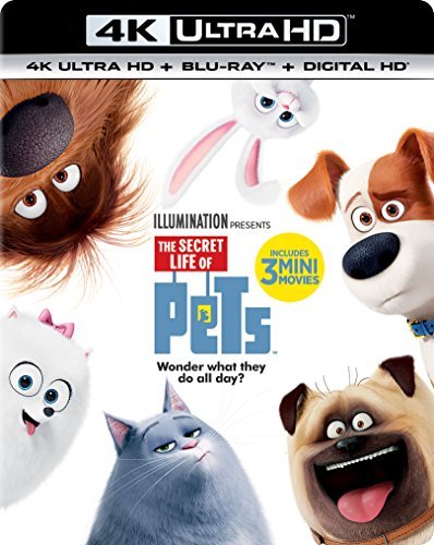 Secret Life Of Pets/Secret Life Of Pets@4KUHD@Pg