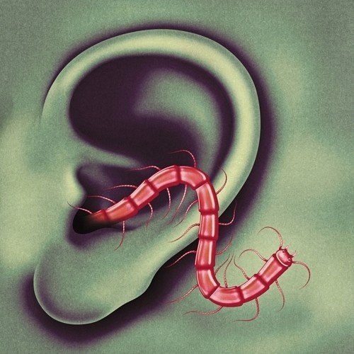 Thee Oh Sees/An Odd Entrances@Lp