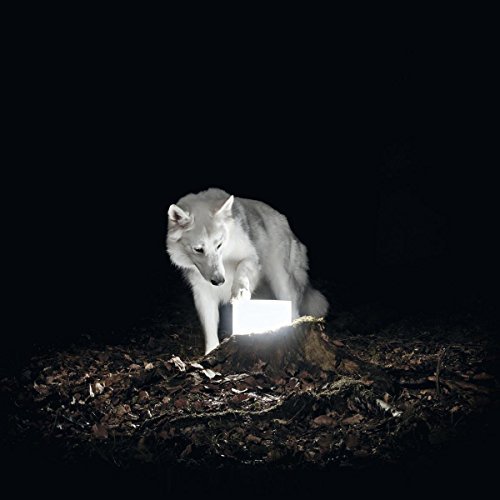 Vanishing Life/Surveillance