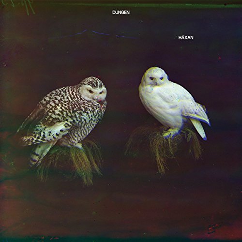 Dungen/Häxan