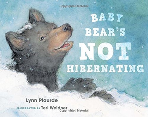 Lynn Plourde/Baby Bear's Not Hibernating