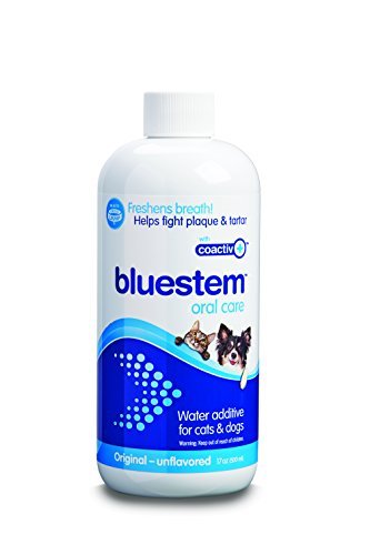bluestem Water Additive - Original