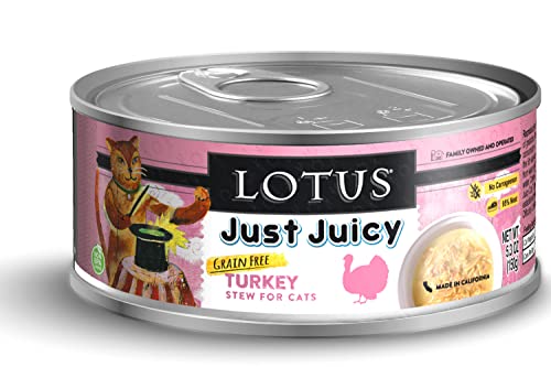 LOTUS CAT JJ TKY STEW 5.3OZ-
