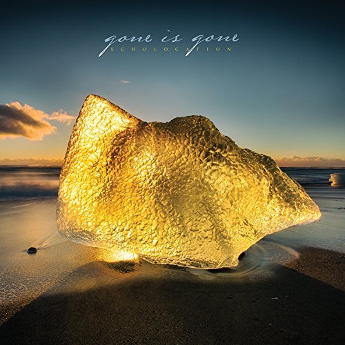 Gone Is Gone/Echolocation (2-Lp Set White C