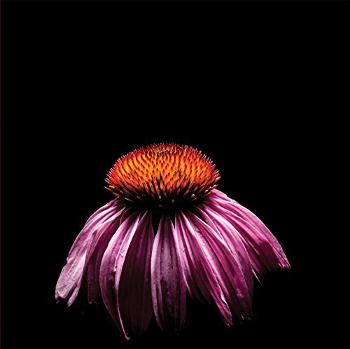 Hadean/On Fading