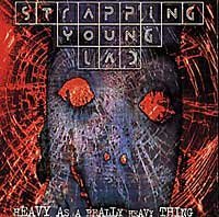 Strapping Young Lad/Heavy As A Really Heavy Thing