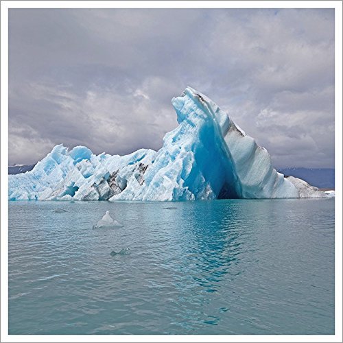 Surfer Blood/Snowdonia