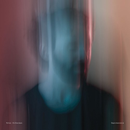 Peter Silberman/Impermanence