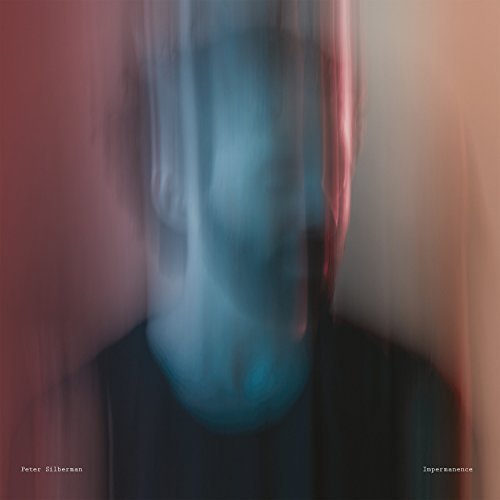 Peter Silberman/Impermanence@Import-Gbr
