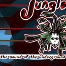 Jungle/Sound Of The Underground@Atomic Dog/Wink/Leftfield@B.L.I.M./Kamoze/Mc Olive