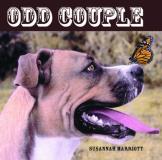 Susannah Marriott Odd Couple 