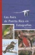 Mark W. Oberle Las Aves De Puerto Rico En Fotografias 0002 Edition; 