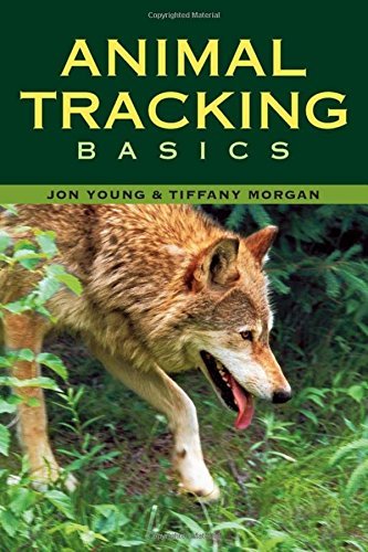 Tiffany Morgan Animal Tracking Basics 