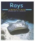 Martha E. H. Rustad Rays [scholastic] 