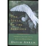 David Abram The Spell Of The Sensuous Perception And Language 