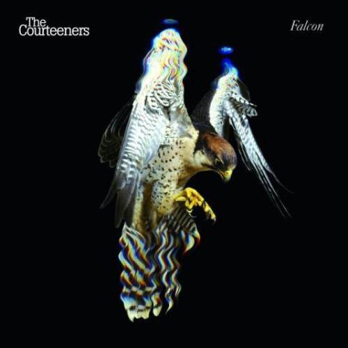 Courteeners/Falcon