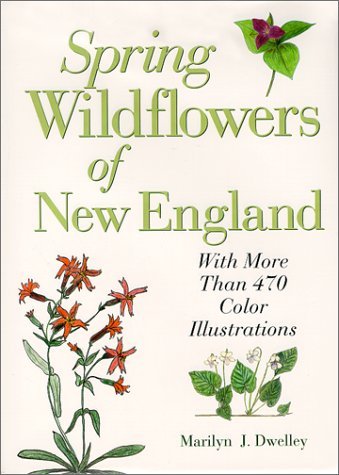Marilyn J. Dwelley Spring Wildflowers Of New England 