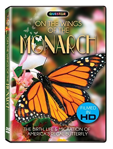 On The Wings Of The Monarch/On The Wings Of The Monarch