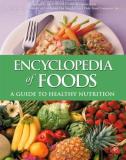 Experts From Dole Food Company Encyclopedia Of Foods A Guide To Healthy Nutrition 