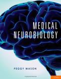Peggy Mason Phd Medical Neurobiology 
