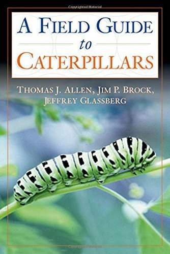 Thomas J. Allen Caterpillars In The Field And Garden A Field Guide To The Butterfly Caterpillars Of No 