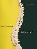 Matt Hutchinson A Brief Atlas Of The Human Body 0002 Edition; 