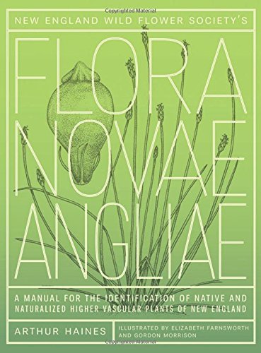 Arthur Haines New England Wild Flower Society's Flora Novae Angl A Manual For The Identification Of Native And Nat 
