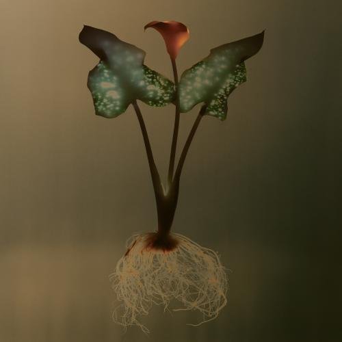 Woven/Eprime Ep