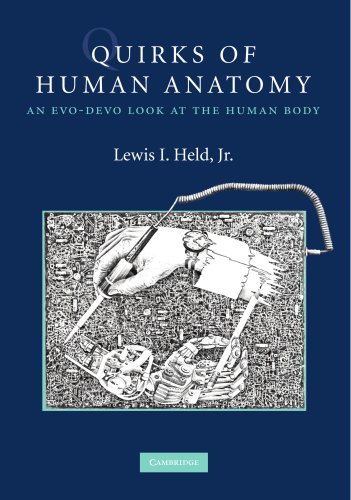 Held Lewis I. Jr. Quirks Of Human Anatomy An Evo Devo Look At The Human Body 