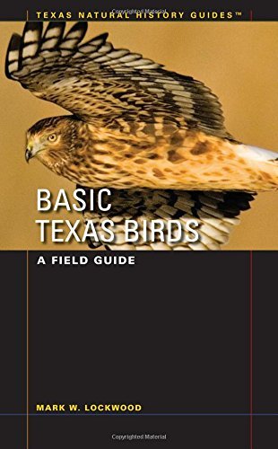 Mark W. Lockwood/Basic Texas Birds@ A Field Guide