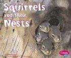 Martha E. H. Rustad Squirrels And Their Nests 