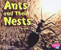 Linda Tagliaferro Ants And Their Nests 