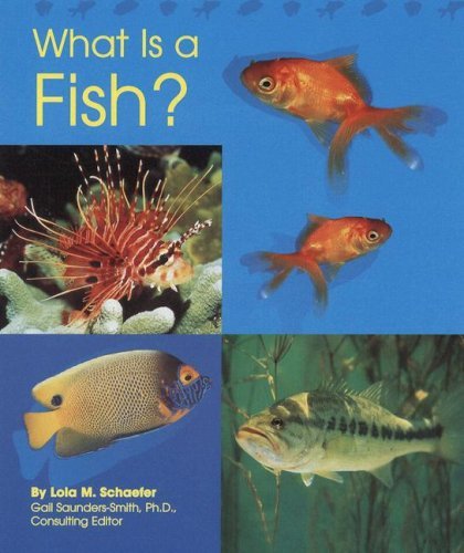Lola M. Schaefer What Is A Fish? 