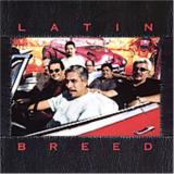 Latin Breed Retro 